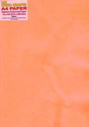 Salmon Paper x 10 Sheets 80gsm - UKCC0201